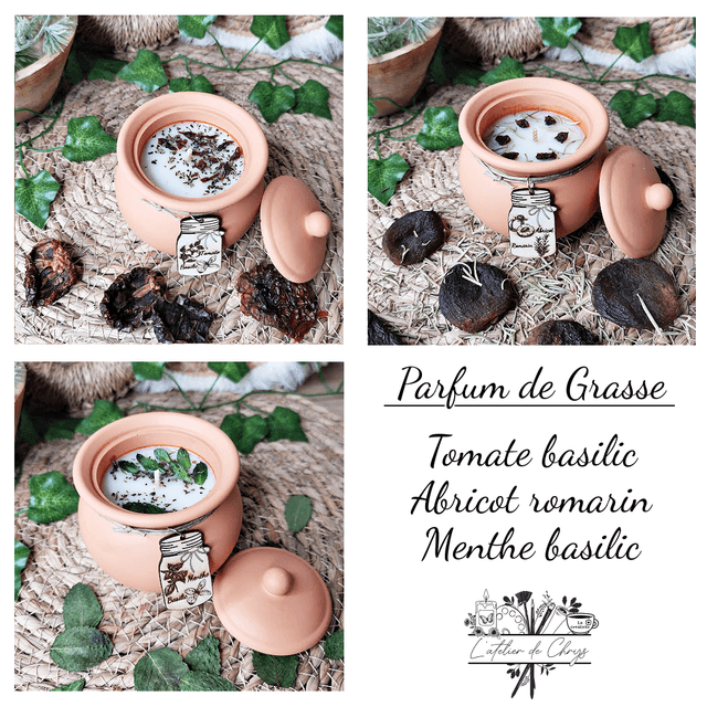 Le petit potager, plongez dans la fraîcheur du jardin